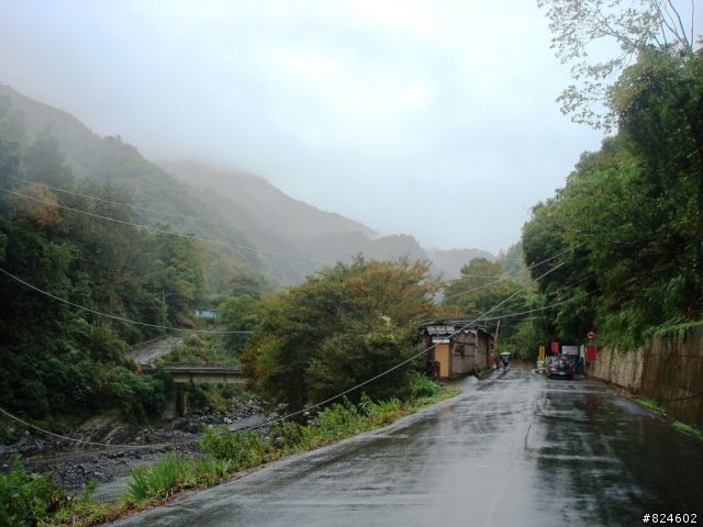 [遊記] 司馬庫斯全攻略 - 新光、鎮西堡、司馬庫斯之路16K去回、司馬庫斯神木群步道