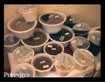 『分享』吃補的那些日子之博士月子餐