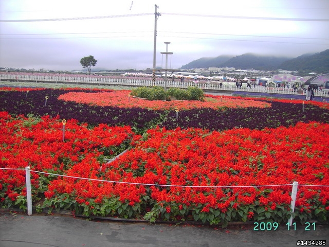 新社花海之旅