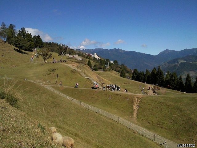 丹丹之老天超賞臉的首次清境+福壽山之旅