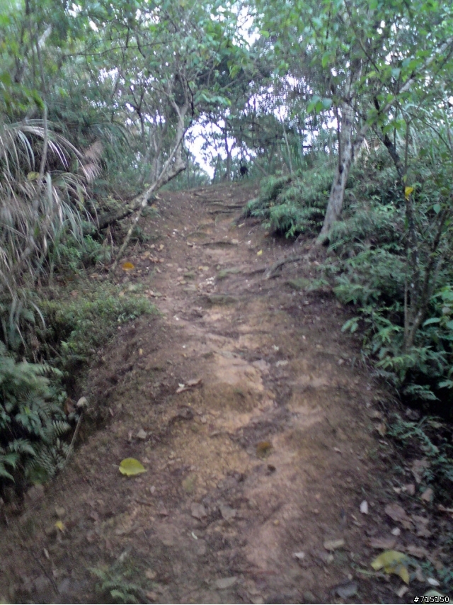 (已補圖)中和圓通寺新店彩蝶社區越嶺輕度offroad 路線介紹