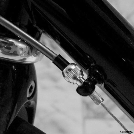 優雅的力量 - Fixie Inc. Betty Leeds
