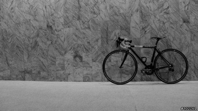 優雅的力量 - Fixie Inc. Betty Leeds