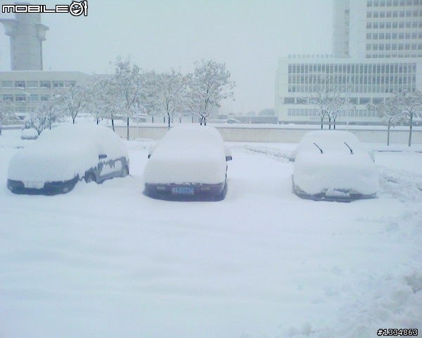 暴雪~有圖為證。