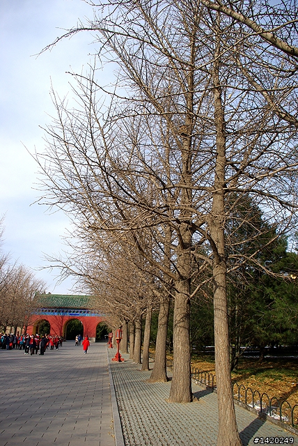 台灣客在北京之天壇公園行
