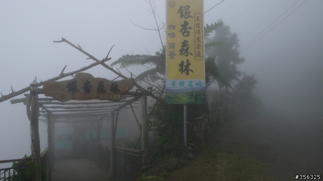[H1N1防疫特別假期] 溪頭-杉林溪+杉林溪森林遊樂區單車2日遊  (照片很多,263張...請見諒...)