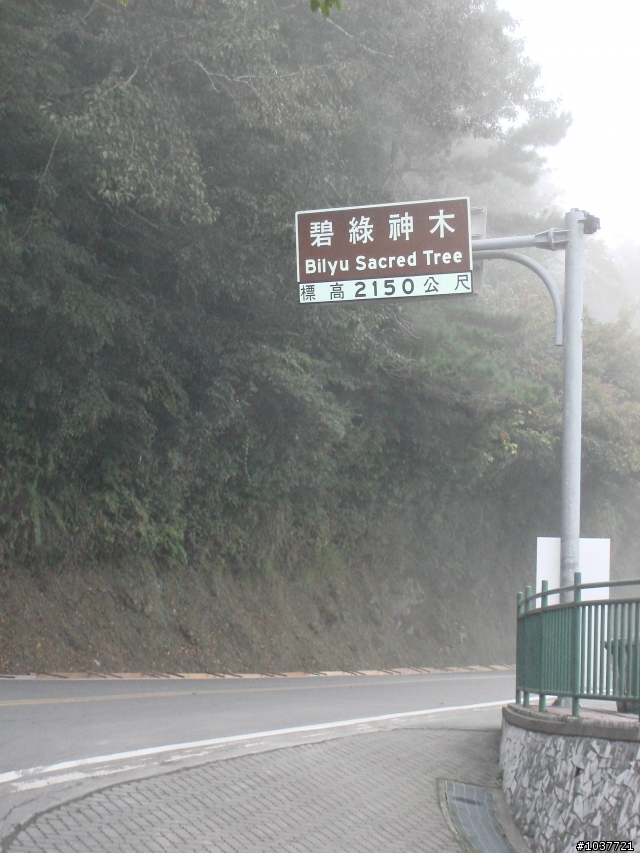 永遠無法忘記的行程--中橫東進西出
