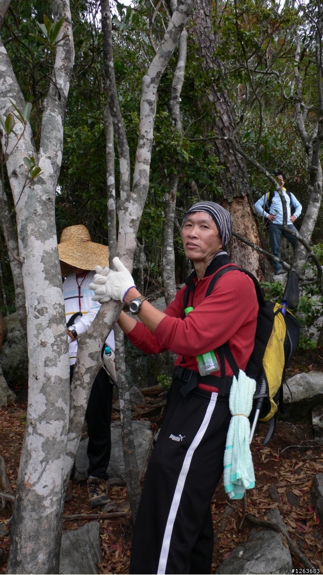[分享] 不是騎腳踏車的爬山之旅---鳶嘴山+稍來山！