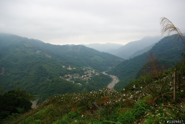 谷燕瀑布-濕冷氣息(新竹五峰)