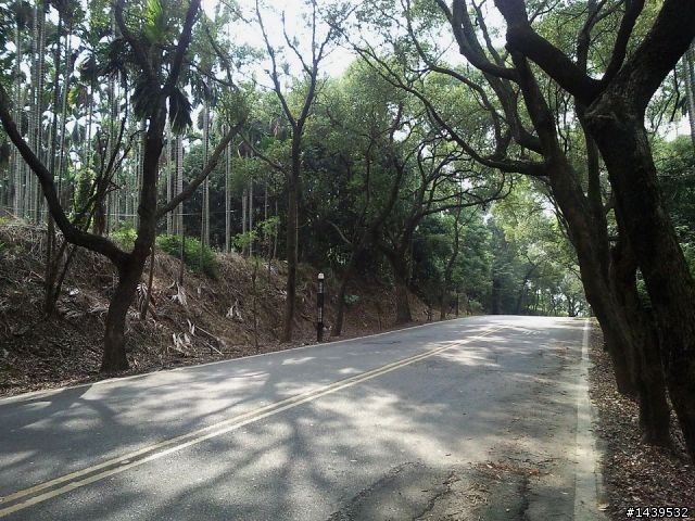 丹丹之老天超賞臉的首次清境+福壽山之旅