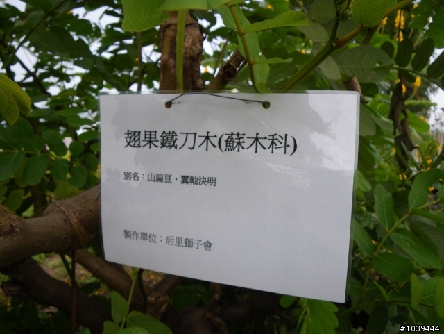 [分享小折兵團約騎]東豐+后豐自行車道之旅(完成照片下載)