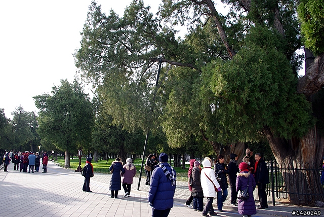 台灣客在北京之天壇公園行