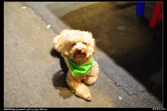 SIGMA 30mm F1.4 EX DC來蓋大樓吧!