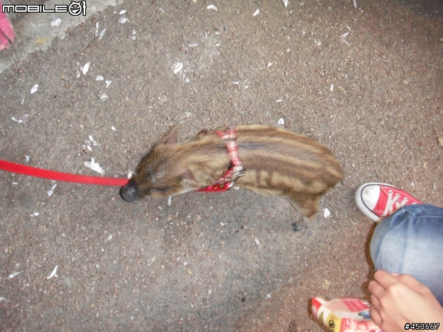 小老婆新竹一日遊