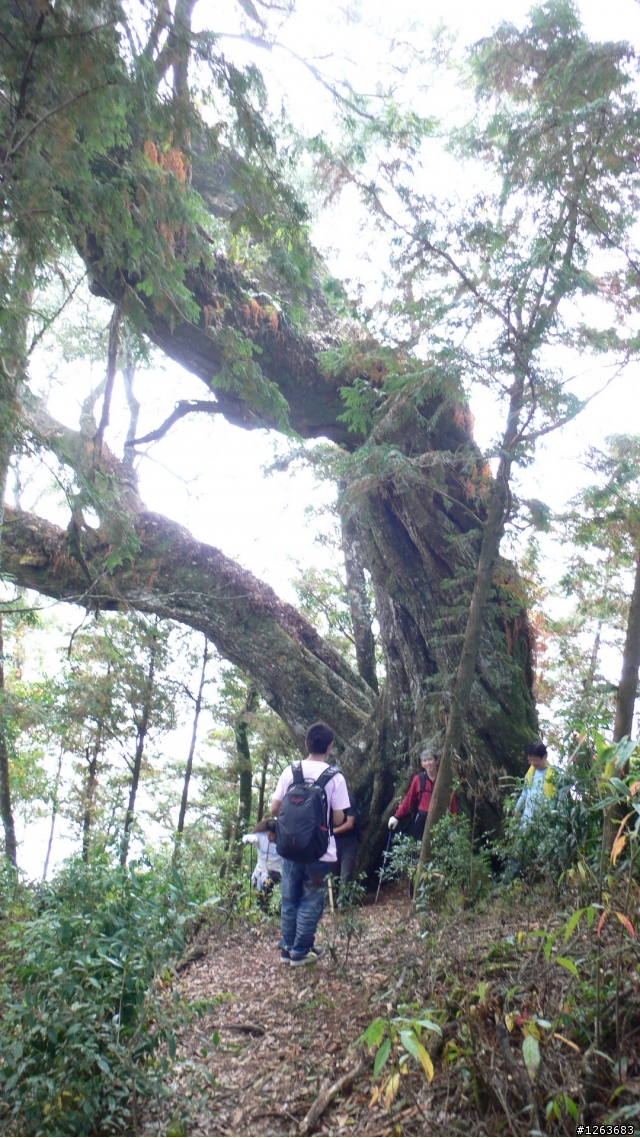 [分享] 不是騎腳踏車的爬山之旅---鳶嘴山+稍來山！