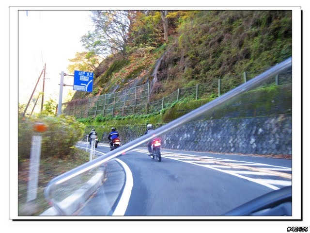 [NEW MAJESTY] 奧多摩周遊道路賞楓