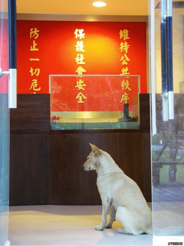 我行您也行 翻越中橫返鄉記