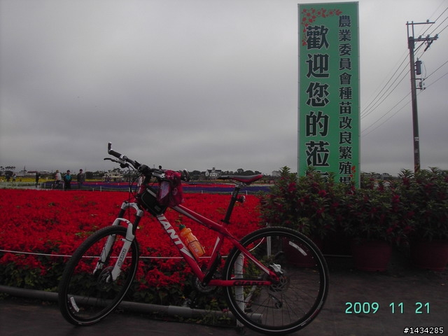新社花海之旅
