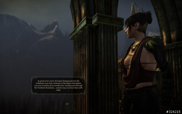 [DAO=Dragon age :origin]Nightmare 女精靈盜賊 通關心得 含劇透 愼入