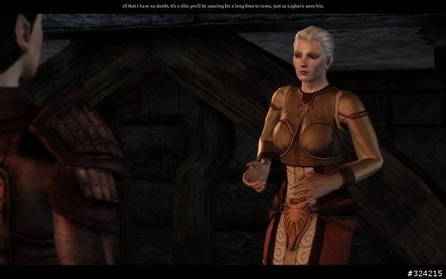[DAO=Dragon age :origin]Nightmare 女精靈盜賊 通關心得 含劇透 愼入