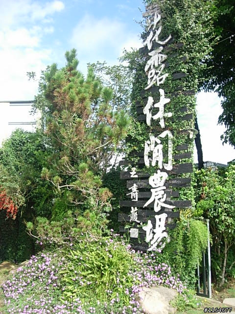 【團騎】2010/1/24(日),踏雪尋莓,卓蘭17號草堂