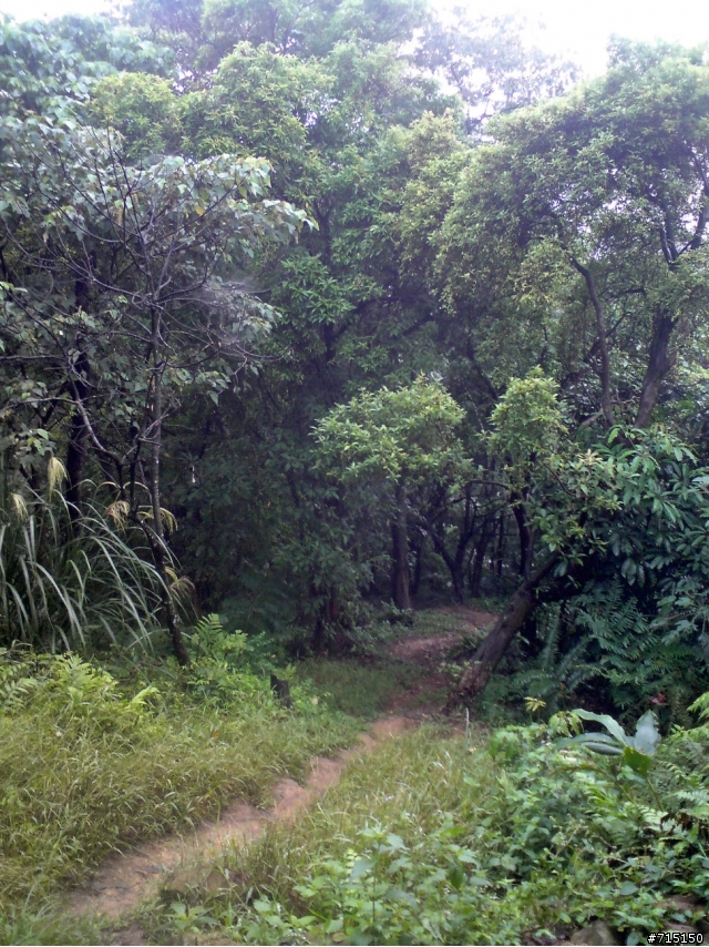 (已補圖)中和圓通寺新店彩蝶社區越嶺輕度offroad 路線介紹
