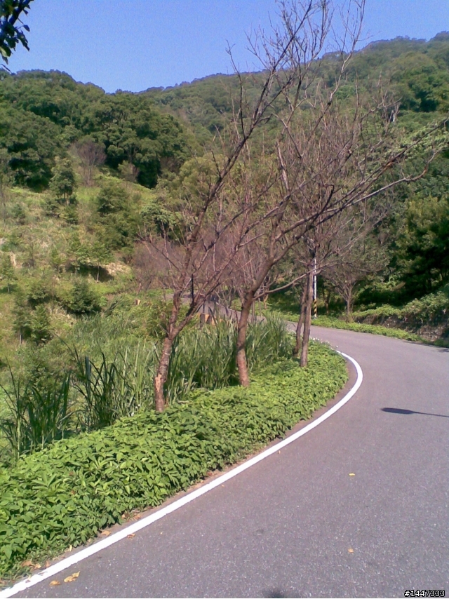 北投“中正山”