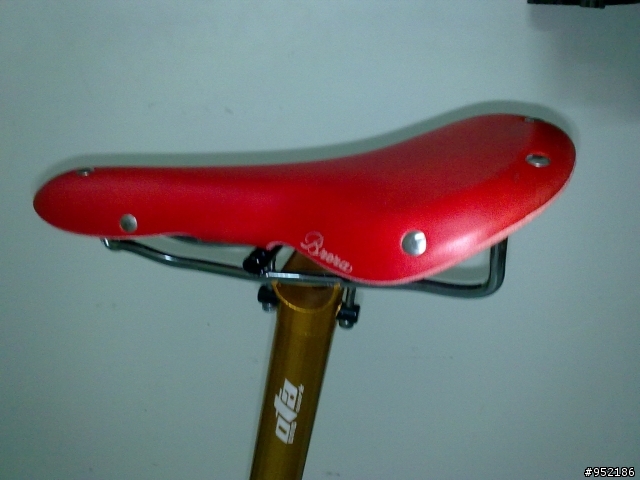 DAHON 20吋老貂終於完成了