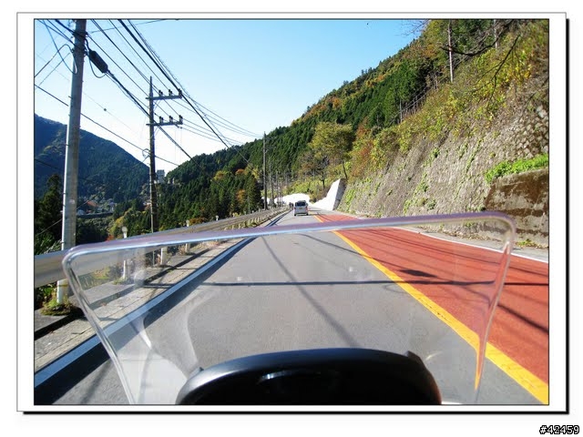 [NEW MAJESTY] 奧多摩周遊道路賞楓