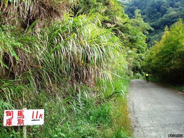 [遊記] 司馬庫斯全攻略 - 新光、鎮西堡、司馬庫斯之路16K去回、司馬庫斯神木群步道