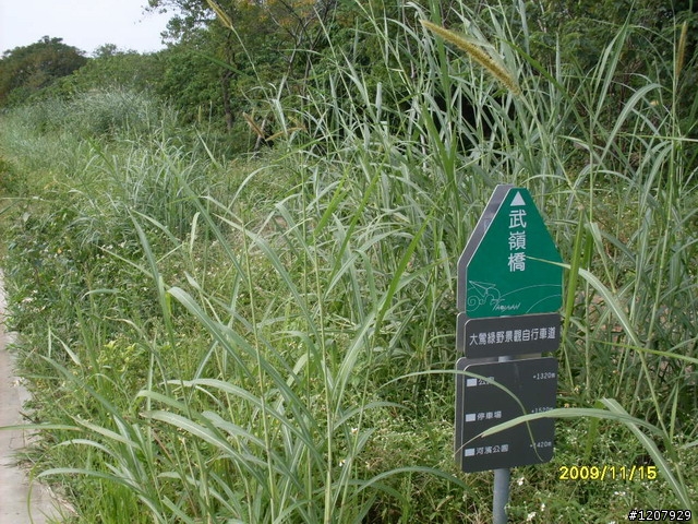 2009~11/14鶯歌之旅+和平老街吃了變超人哈哈哈:::::
