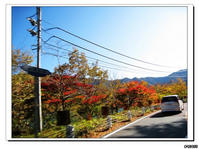 [NEW MAJESTY] 奧多摩周遊道路賞楓