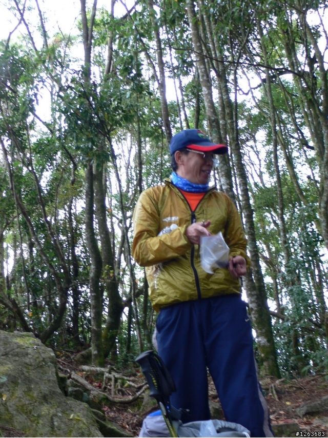 [分享] 不是騎腳踏車的爬山之旅---鳶嘴山+稍來山！