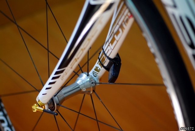 2009年SCOTT ADDICT R3改光光拍照文