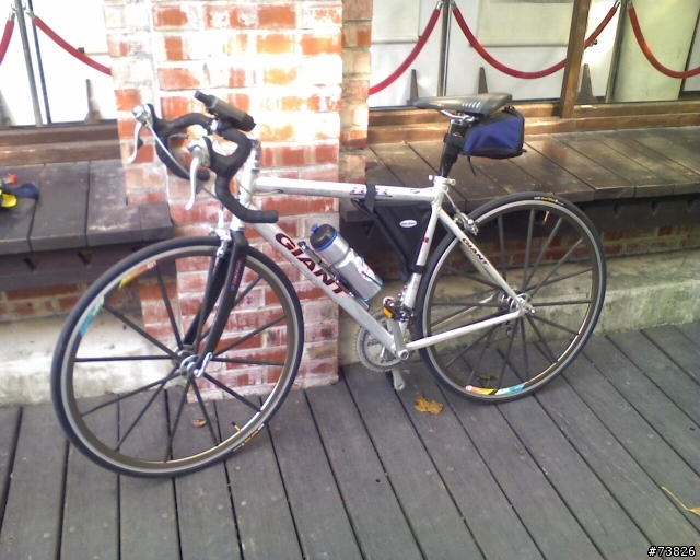 十歲的老爺公路車，老祖父級捷安特公路車