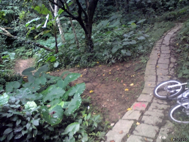 (已補圖)中和圓通寺新店彩蝶社區越嶺輕度offroad 路線介紹