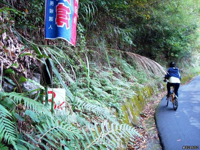 [遊記] 司馬庫斯全攻略 - 新光、鎮西堡、司馬庫斯之路16K去回、司馬庫斯神木群步道