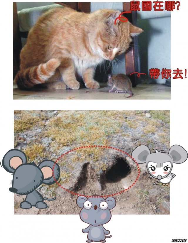 有湯國..那..有鼠國嗎?【獨家】鼠國國王跟鼠國皇后照片
