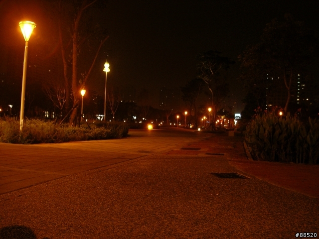 【分享】夜騎路線新選擇-凹子底森林公園(農十六)