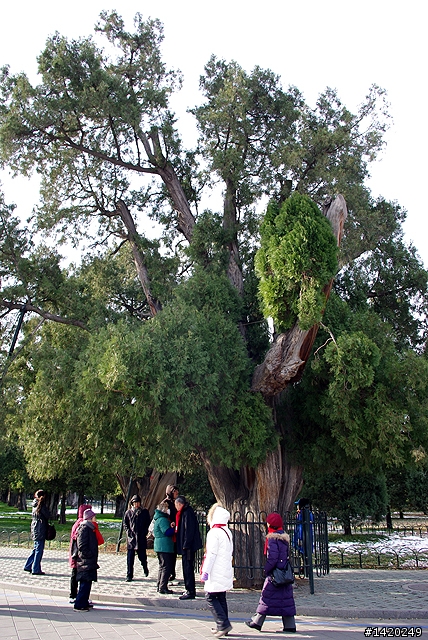 台灣客在北京之天壇公園行