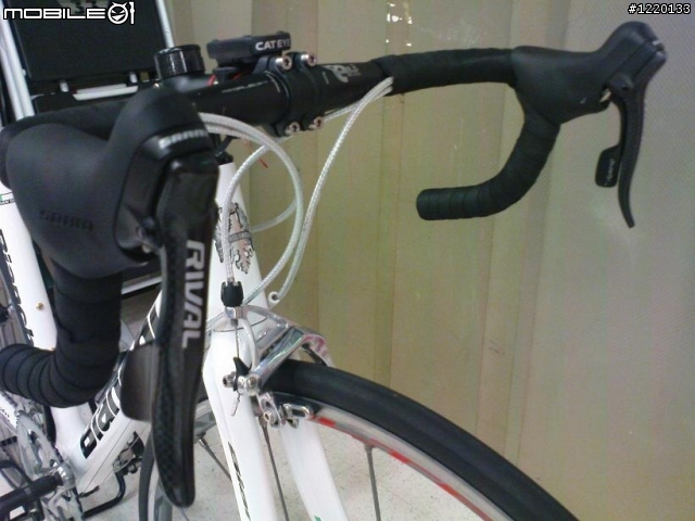 Bianchi 928 騎乘感 11/14陽金我來了