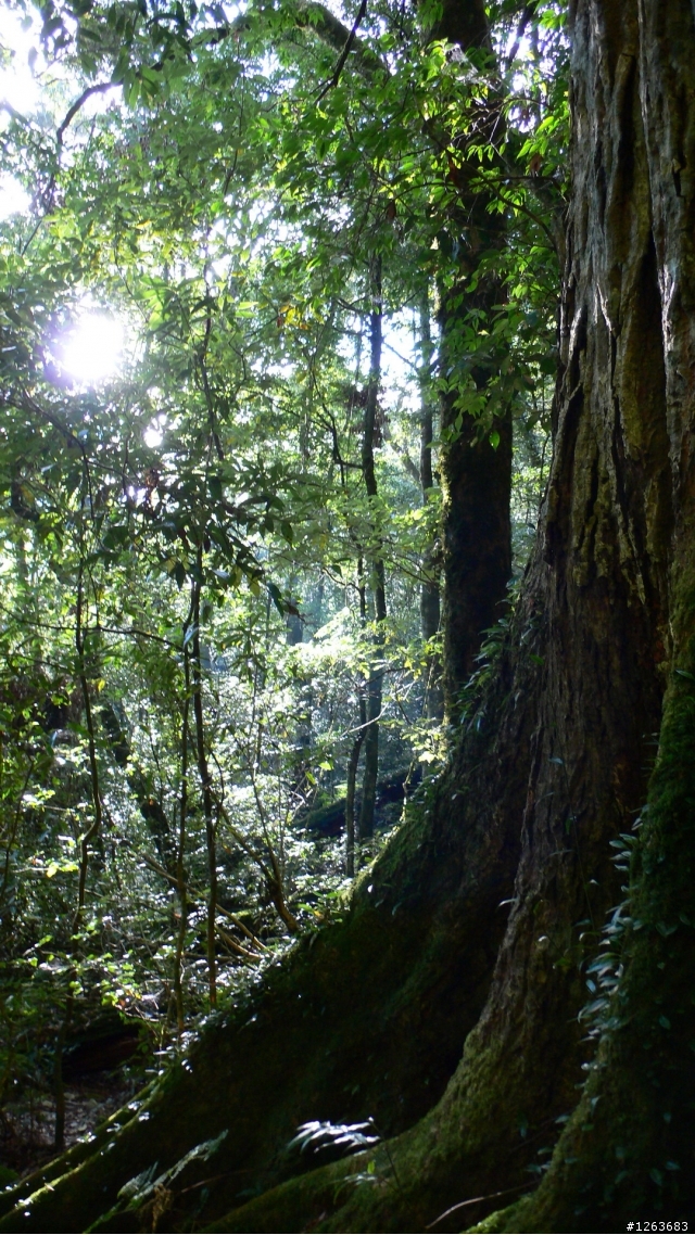 [分享] 不是騎腳踏車的爬山之旅---鳶嘴山+稍來山！