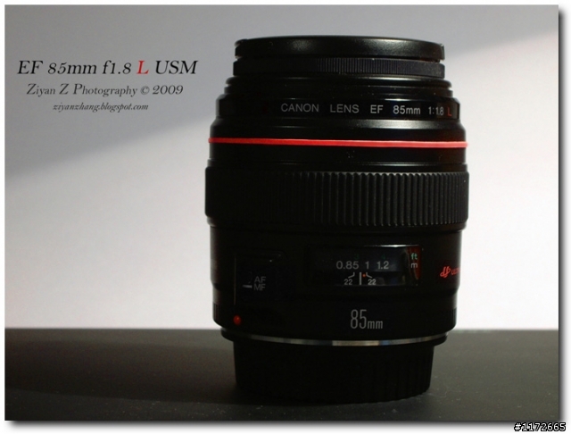 Canon EF 85mm f1.8 L USM (紅圈L版）