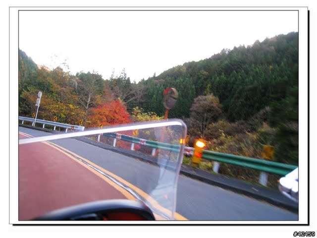 [NEW MAJESTY] 奧多摩周遊道路賞楓