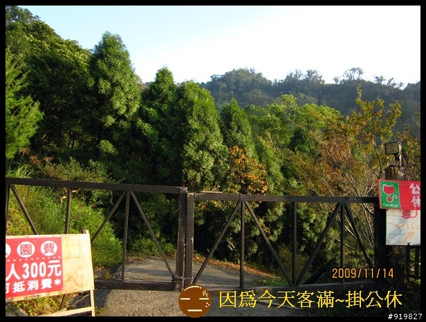 處女- 新體驗    帶貓寶貝出遊