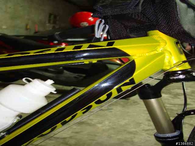 白色看膩了嗎?金蔥色的達得勝 DODSUN FLY XC 開箱