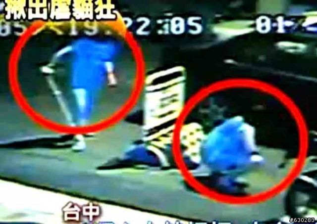 有什麼深仇大恨非要致牠於死呢..(拿石頭砸貓 新生小貓也不放過)