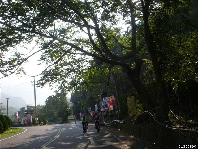 2009花開全南投系列活動之「花明柳媚-中寮鐵馬行」