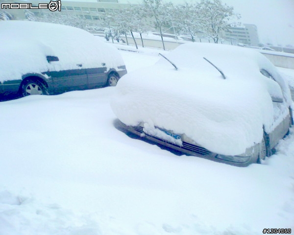 暴雪~有圖為證。