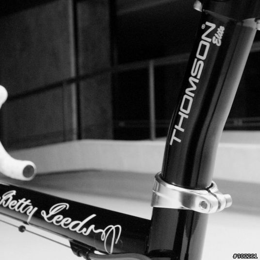 優雅的力量 - Fixie Inc. Betty Leeds